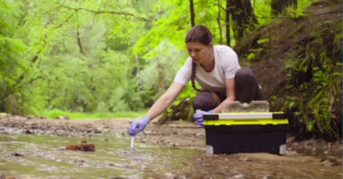 Environmental Science courses