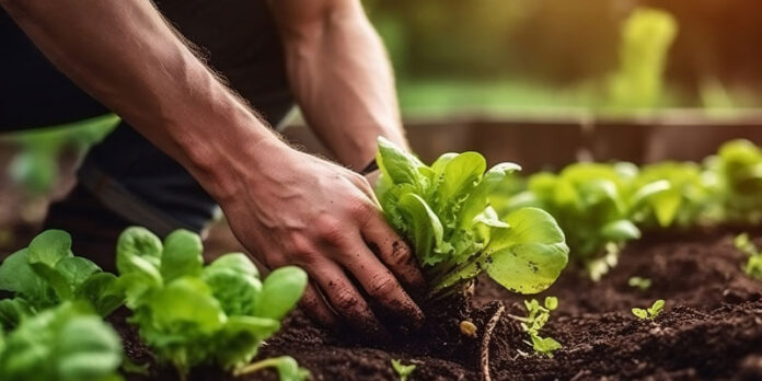 agriculture