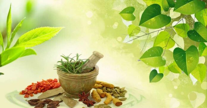 Ayurveda